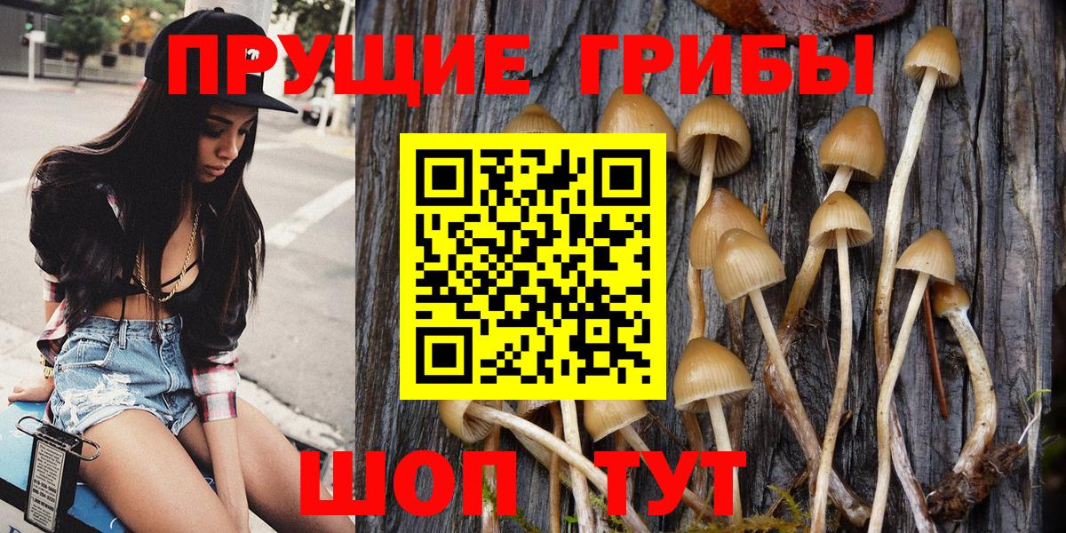Галлюциногенные грибы Magic Shrooms  Вход с VPN  Кропоткин 